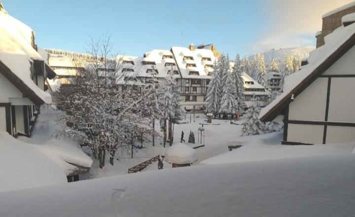 Mali Medved Konaci Lägenhet Kopaonik Exteriör bild