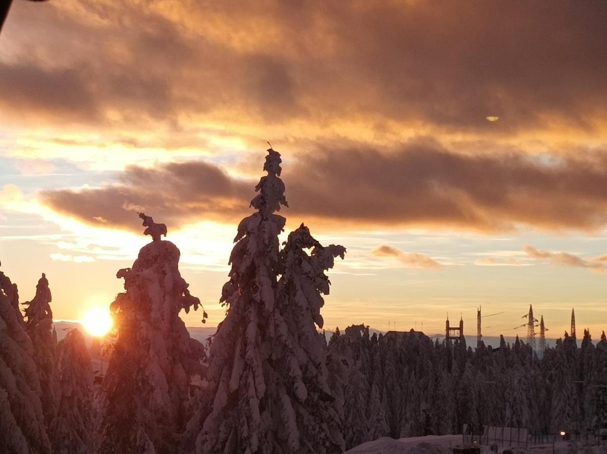 Mali Medved Konaci Lägenhet Kopaonik Exteriör bild